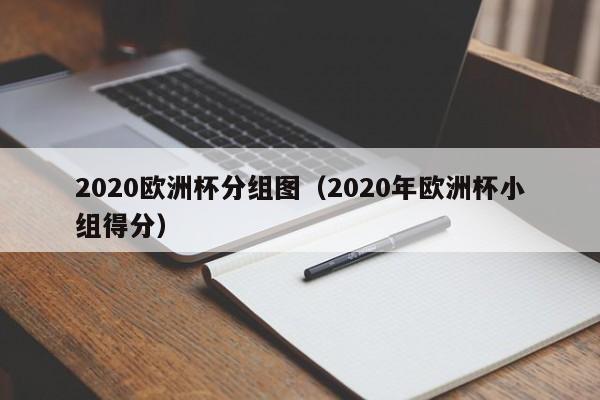 2020欧洲杯分组图（2020年欧洲杯小组得分）